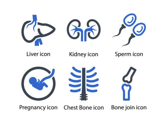 A Professional's Review of the Human Body Organ Icon Set 3 Graphics